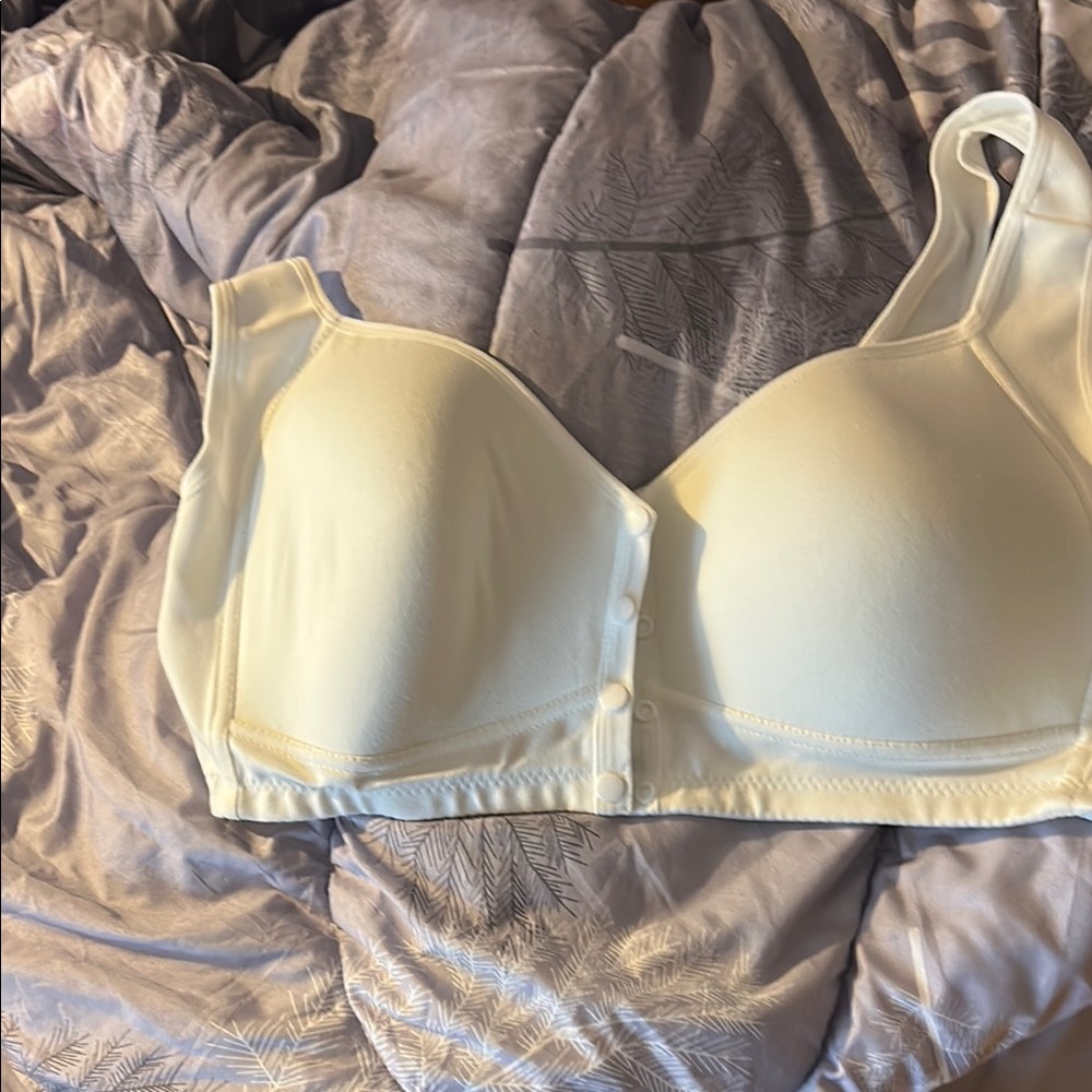 Daisy Cream Molded Cup Bra Intimates & Sleepwear